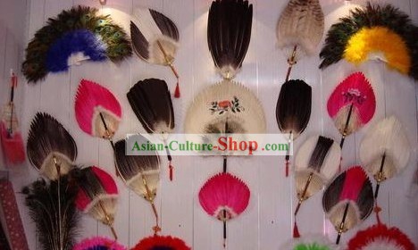 Tradicional Chinesa Fãs Feather
