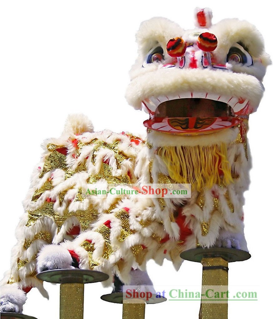 Professionnel Lion Chinois Masque et Costumes Ensemble complet