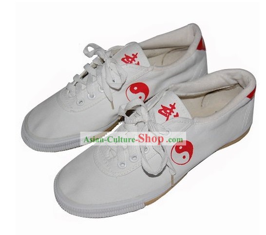 Chinese Professional Martial Arts Tai Chi Shoes/Workout Shoes