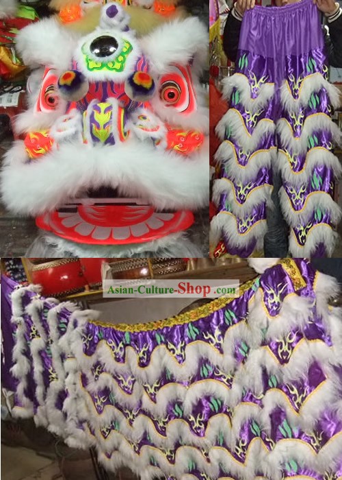 전문 형광 중국어 남부 사자춤 헤드와 옷입히기
