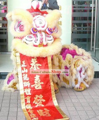 Traditional Kung Fu Martial Arts  Lion Dance Costume Complete Set