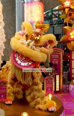 Display and Collection Handmade Lion Dance Costume Complete Set