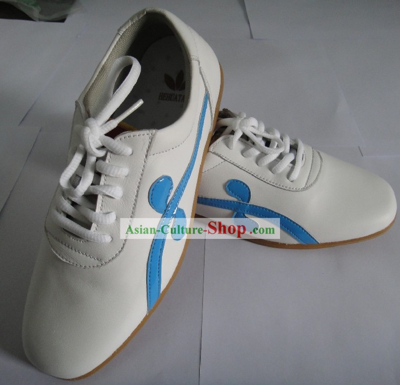 Traditional Chinese Tai Chi Kung Fu Shoes