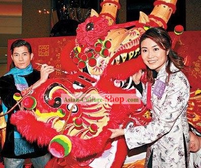 Guangzhou and Hong Kong Style Long Wool Fur Dragon Dance Costumes Complete Set