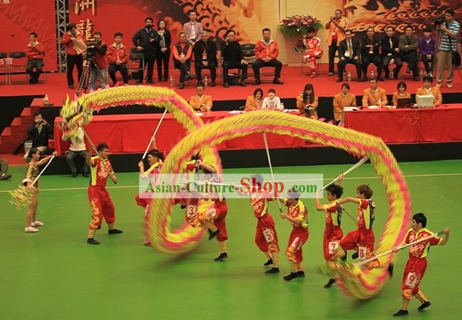 Competition and Parade Glowing In Dark Dragon Dancing Costume Complete Set