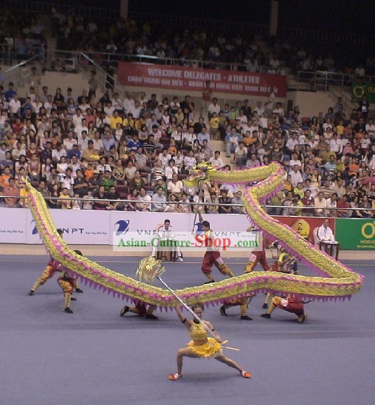 Supreme Celebration and Competition Dragon Dance Costume Complete Set