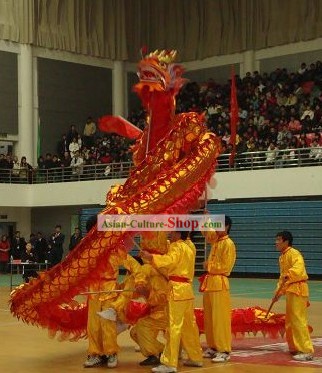 Shinning Red Dragon Dance Costume Complete Set
