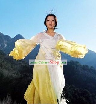 Traditional Chinese Princess Long Sleeve Dance Hanfu Costumes
