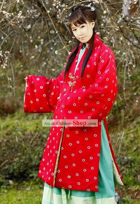 Traditional Song Dynasty Zhe Zi Hanfu Clothing for Women