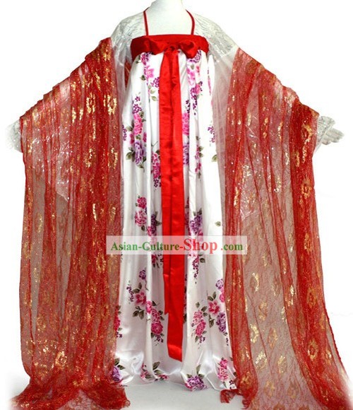 Ancient Chinese Tang Dynasty Palace Lady Costumes for Women