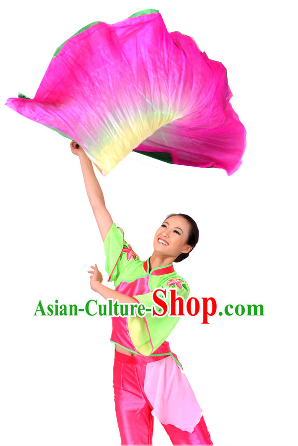 Chinese Classical Fan Dance Costume and Dance Fan for Women