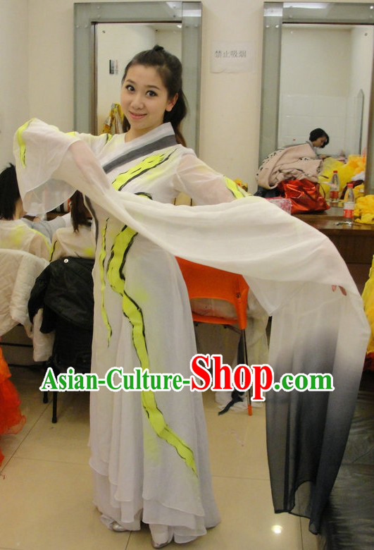 Traditional Chinese Classical Long Sleeve Dance Costumes for Women