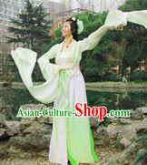 Ancient Chinese Water Sleeve Hanfu Guzhuang Clothing