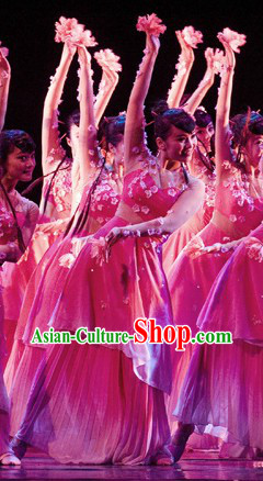 Stage Performance Chinese Classical Peach Blossom Dance Costumes and Headwear for Women