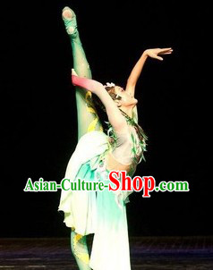 Classical Chinese Dance Costumes and Hair Accessories Complete Set for Women