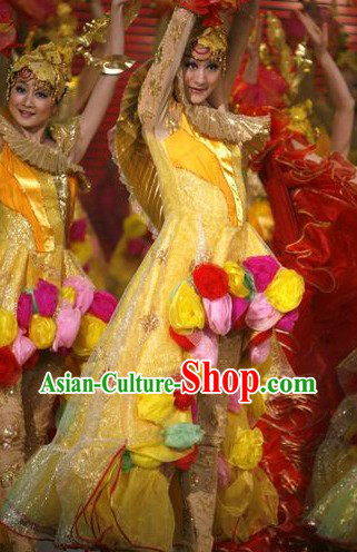 Chinese Entree Dance Costume for Women