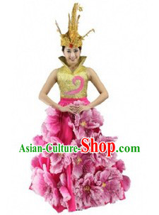 Traditional Chinese Modern Dance Costume and Headdress for Women