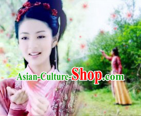 Chinese Paladin TV Opera Lin Yue Ru Costumes