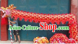 University Institute Dragon Dancing Contest Gym Lessons Costumes for Eight Dancers