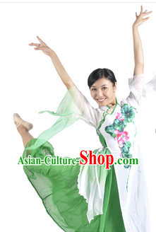 Traditional Chinese Lotus Classical Dancing Stage Performance Costume