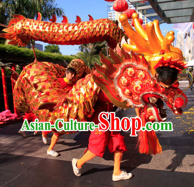 Red Chinese New Year Parade Long Wool Dragon Dance Costumes Complete Set