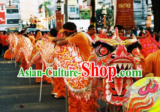 Professional Competition and Parade Glow in the Dark Dragon Dance Costumes Complete Set