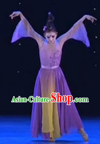 Popular Chinese Traditional Dance Costume