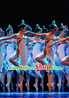 Professional Classical Group Dancing Costume and Headwear Complete Set for Women