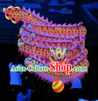 Professional Luminous Dragon Dance Music and Costume Complete Set