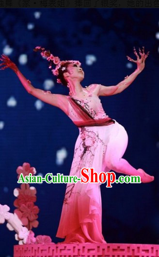 Traditional Chinese Pink Plum Blossom Classical Dancing Costume Complete Set