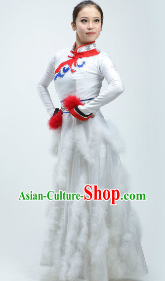 High Collar Chinese Folk Cranes Dance Costumes with Feather