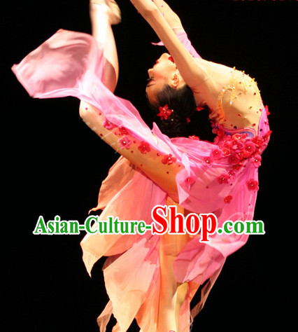 Stage Performance Silk Plum Blossom Dance Costumes Complete Set for Women