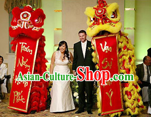 Chinese lunar new year lion dance costumes