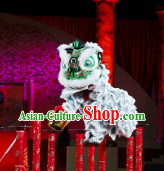 lion dance equipments for celebration and competition