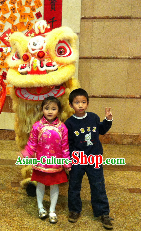 Asian Chinese Lion Costume Complete Set