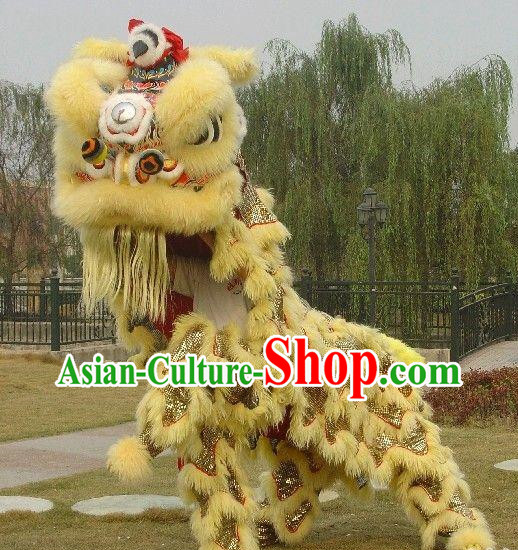 Asian Chinese Martial Lion Costume