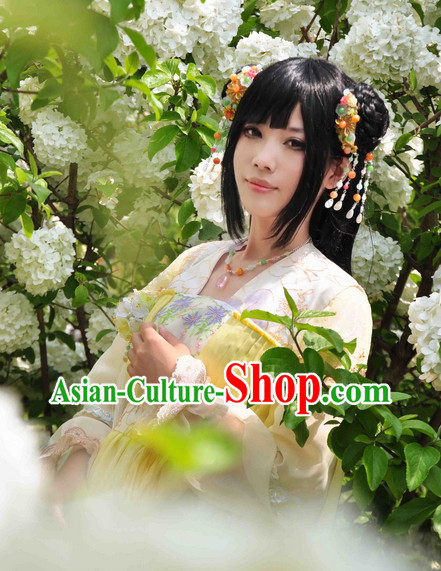 Chinese Fairy Adult Halloween Costumes and Hair Jewelry Complete Set