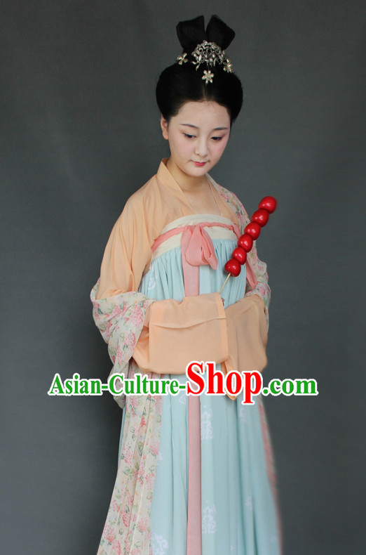 Chinese Tang Robe Hanfu Designer Dresses Plus Size Costumes for Women