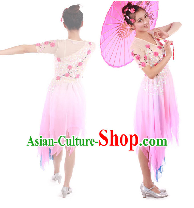 Chinese Teenagers Classic Dance Costumes for Competition