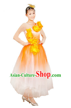 Chinese Stage Dance Costume Ideas Dancewear Supply Dance Wear Dance Clothes Suit and Headpieces Complete Set