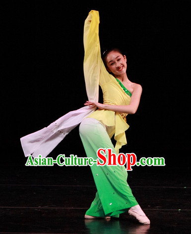 Chinese Long Sleeves Dance Apparel Dance Supplies
