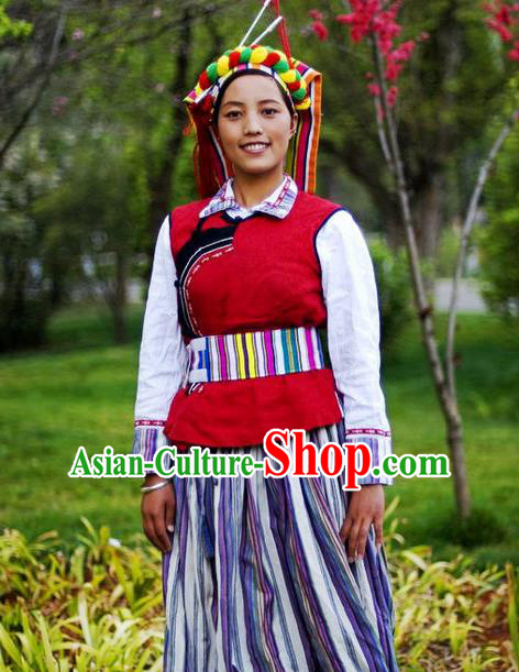 Traditional Chinese Nu Nationality Dancing Costume, Nuzu Female Folk Dance Ethnic Pleated Skirt, Chinese Nu Minority Nationality Embroidery Costume for Women