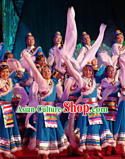 Traditional Chinese Zang Nationality Dancing Costume, Tibetan Female Folk Dance Ethnic Pleated Skirt, Chinese Tibetan Minority Nationality Embroidery Costume for Women