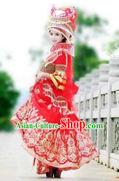 Traditional Chinese Miao Nationality Improved Wedding Costume, Hmong Luxury Female Folk Dance Ethnic Bride Pleated Long Skirt, Chinese Minority Nationality Embroidery Costume for Women