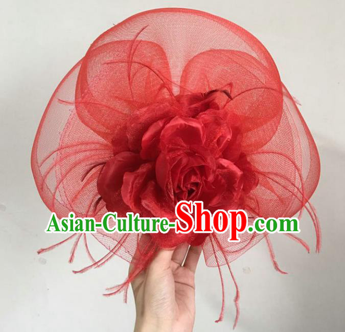 Handmade Baroque Hair Accessories Model Show Red Veil Feather Hair Stick, Bride Ceremonial Occasions Headwear for Women