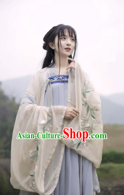 Traditional Ancient Chinese Palace Lady Hanfu Costume Embroidered Dress, Asian China Tang Dynasty Imperial Princess Clothing for Women