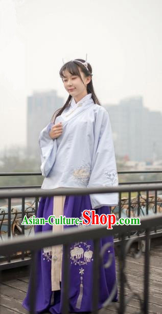 Traditional Chinese Ming Dynasty Palace Lady Hanfu Costume, Asian China Ancient Princess Dress Embroidered Clothing for Women