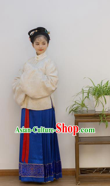 Traditional Chinese Ancient Costume Palace Lady Embroidered Blouse and Slip Skirt, Asian China Ming Dynasty Imperial Princess Hanfu Clothing for Women