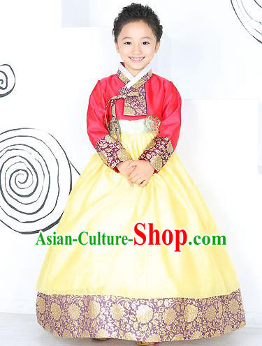 Traditional Korean Handmade Formal Occasions Costume Embroidered Baby Brithday Girls Red Blouse and Yellow Dress Hanbok Clothing