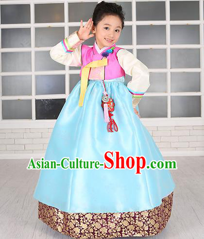 Traditional Korean Handmade Formal Occasions Costume Embroidered Baby Brithday Girls Pink Blouse and Blue Dress Hanbok Clothing